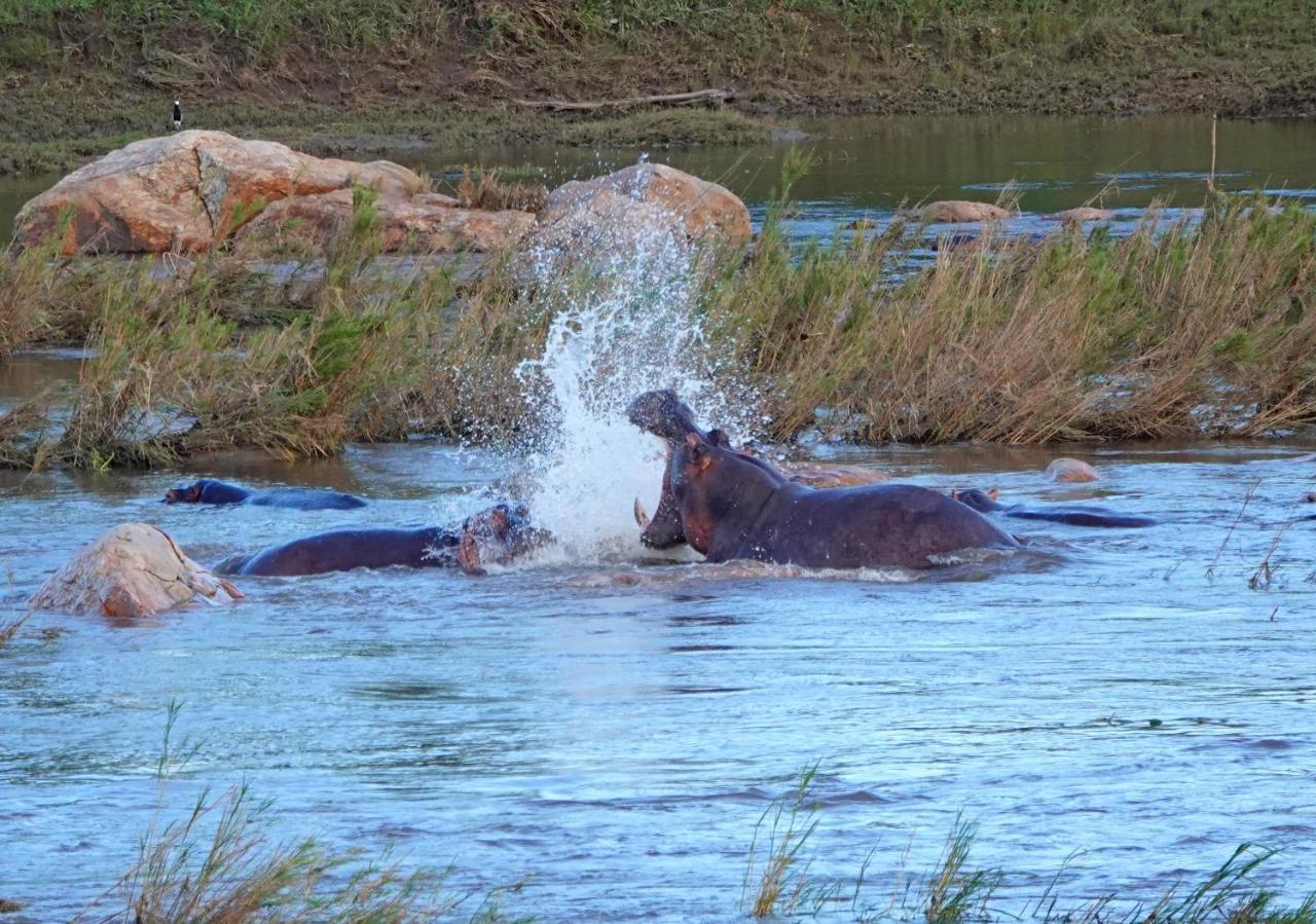 Kruger River Holiday Home Marloth Park Exterior foto